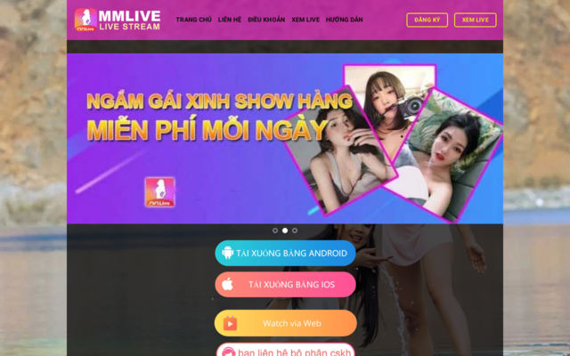 mmlive.llc
