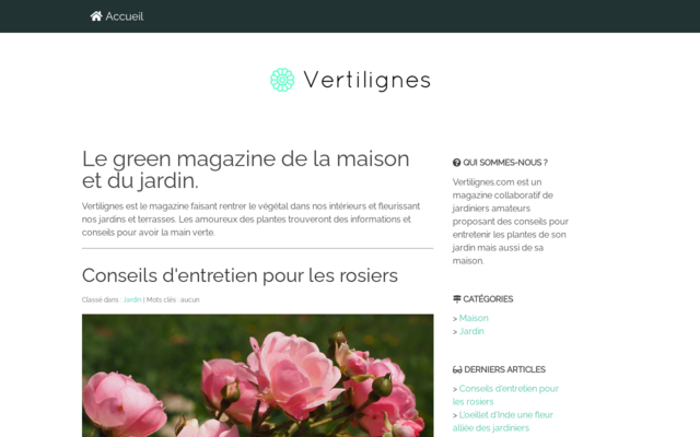 vertilignes.com